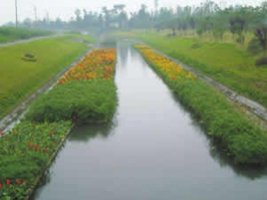 雨水回收系統設計要求以及后期維護